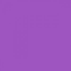 colore-viola-resized[1]